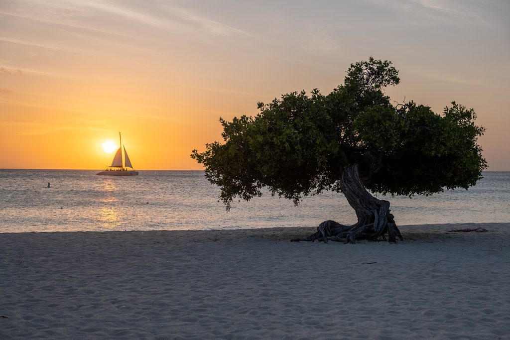 Richard Franken Aruba Best Beaches to Visit 2